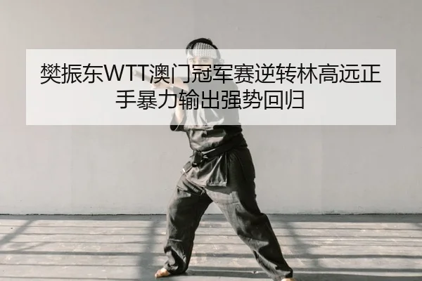 樊振东WTT澳门冠军赛逆转林高远正手暴力输出强势回归